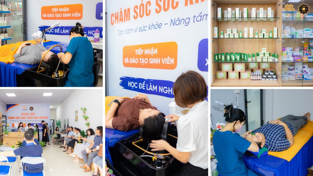 Thado Care – không gian chăm sóc sức khỏe, học tập và thực hành gắn với thực tiễn.